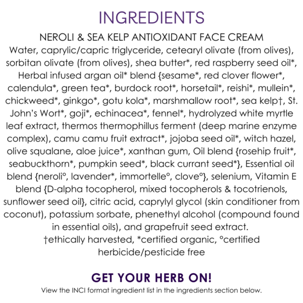 ingredients rosehip & sea kelp antioxidant face cream