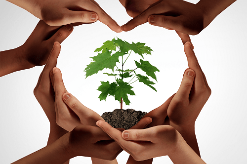 plants-connect-donate