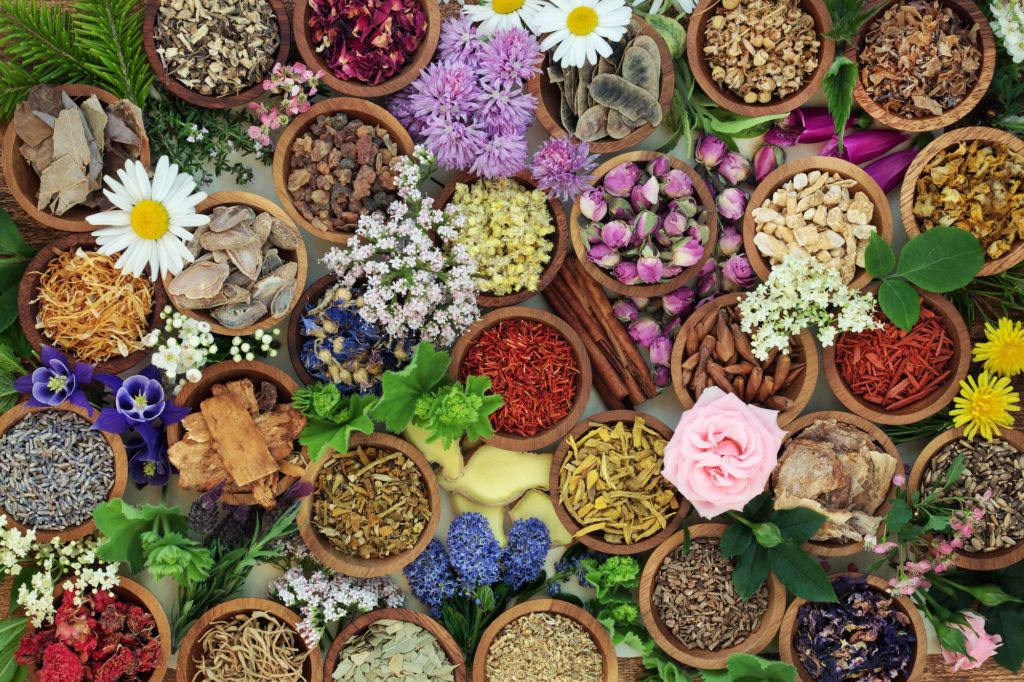 Understanding the Roots of our Tradition: Researching the Origins of Western Herbal Medicine