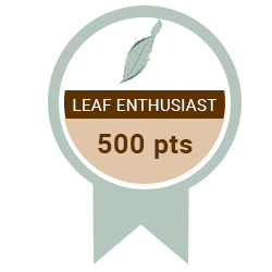 Enthusiast